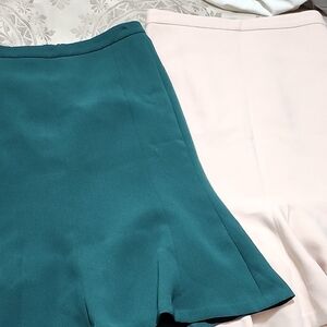 Ann Taylor Elegant Teal and Cream Skirt Set